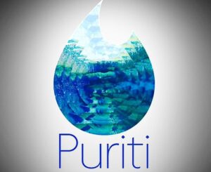 Picture of         Puriti Consultancy